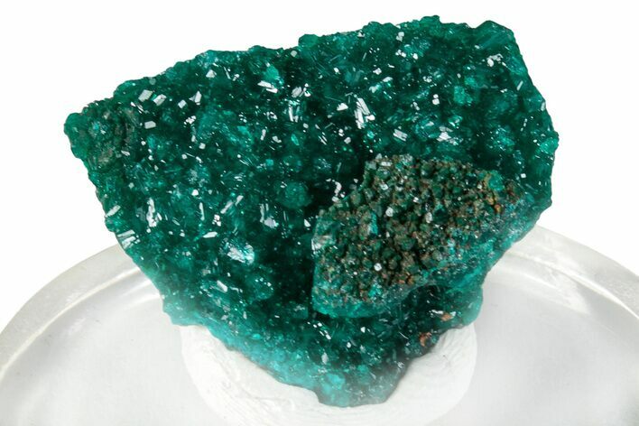 Sparkling Dioptase Epimorph - N'tola Mine, Congo #256931